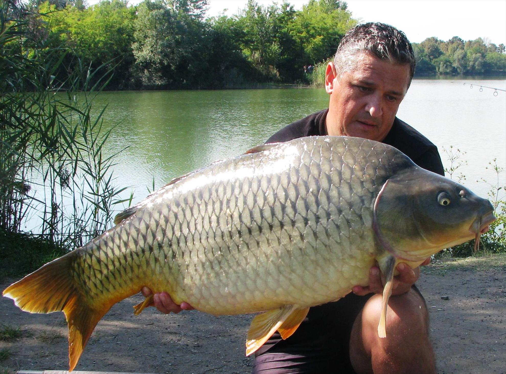 Balkan lake 19 - 26 septembrie 2015 - 180kg1.JPG